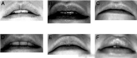 给大家一张嘴唇对照
