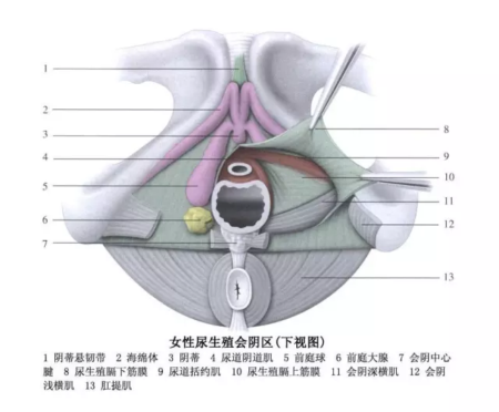 怎么让女人快速进入状态，更湿润呢