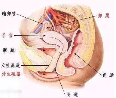 我们先来科学的认识一下