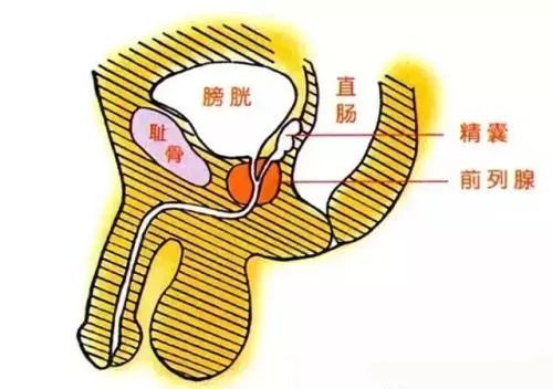 送你一份男题攻略,专治男友炎而无性