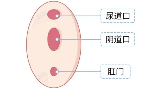 第一次最容易遇到的问题