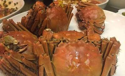 芹菜+螃蟹：降低蛋白质的吸收