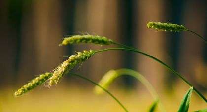 小满节气预防哪些皮肤病